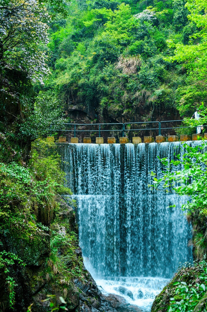            大奇山国家森林公园