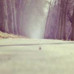 行遍云间