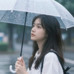 冬季到台北来看雨