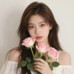 Queen of rose