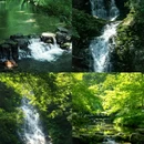 杭州市旅游 缩略图 3