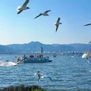 昆明市旅游 缩略图 6