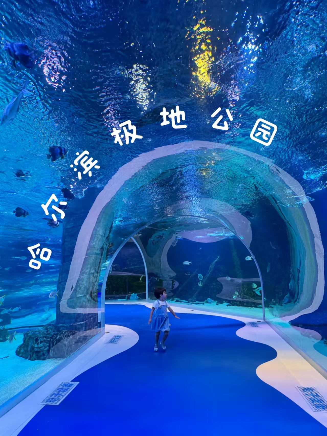 哈尔滨市旅游
