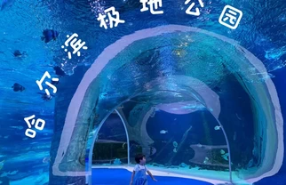暑假哈尔滨 3 天 2 晚亲子游|夏日 22度避暑,遛娃全程轻松不折腾