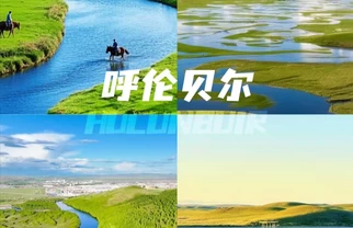 在草原上寻找童年|呼伦贝尔亲子六日游全攻略+FAQ