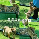 哈尔滨市旅游 缩略图 5