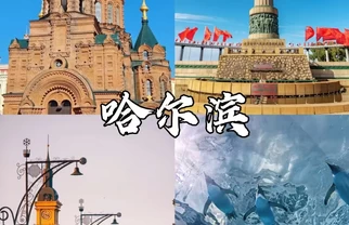 避开南方热浪,哈尔滨暑期高质量亲子遛娃完整版攻略