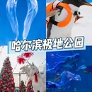 哈尔滨市旅游 缩略图 4