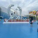 哈尔滨市旅游 缩略图 2