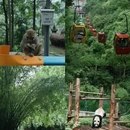 贵阳市旅游 缩略图 2