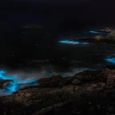 舟山市旅游 缩略图 7