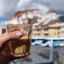 拉萨市旅游 缩略图 3