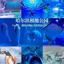哈尔滨市旅游 缩略图 3