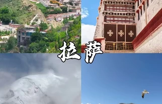 带娃去拉萨怎么玩不累?这份高原亲子攻略很实用