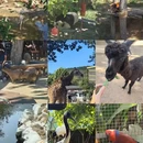大连市旅游 缩略图 5
