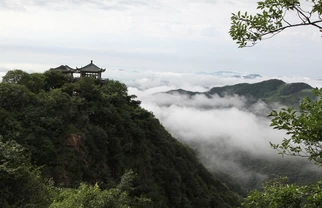 带娃周末避暑出游怎么选?莫干山、安吉、荔波三地亲测对比答疑