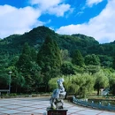 六盘水市旅游 缩略图 4