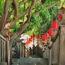 重庆市旅游 缩略图 3