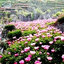 昆明市旅游 缩略图 2