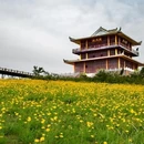 昆明市旅游 缩略图 1