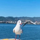 昆明市旅游 缩略图 4
