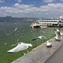 昆明市旅游 缩略图 3