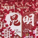 昆明市旅游 缩略图 7