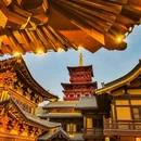 郑州市旅游 缩略图 4
