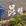 昆明市