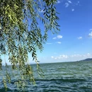 昆明市旅游 缩略图 2