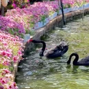 昆明市旅游 缩略图 7