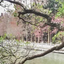 福州市旅游 缩略图 7