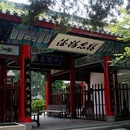 成都市旅游 缩略图 5