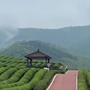 绍兴市旅游 缩略图 8