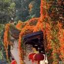 福州市旅游 缩略图 2