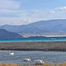 昆明市旅游 缩略图 7