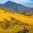 丽水市旅游 缩略图 3