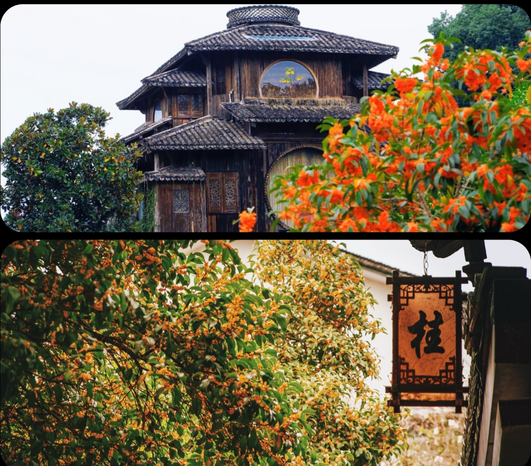 桂林市旅游