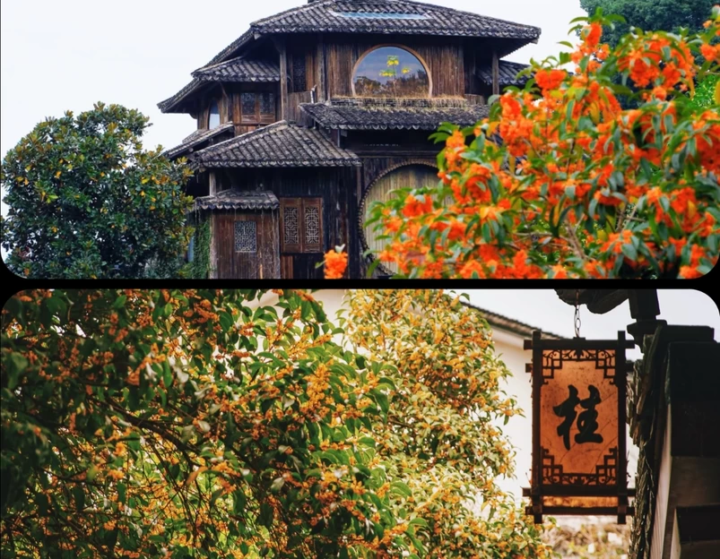 桂林市旅游 1