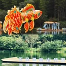 长沙市旅游 缩略图 4