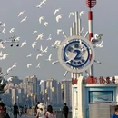 台州市旅游 缩略图 1