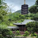 台州市旅游 缩略图 4