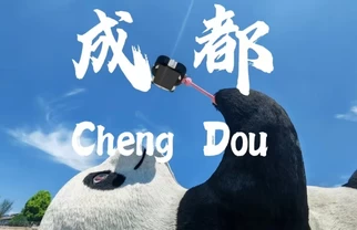 国庆国内目的地盘点｜成都完整版游玩攻略&避坑指南