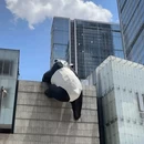 成都市旅游 缩略图 4