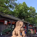 成都市旅游 缩略图 6