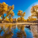 张家口市旅游 缩略图 1