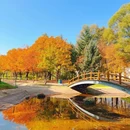 哈尔滨市旅游 缩略图 3