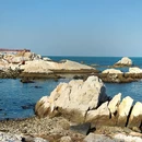 烟台市旅游 缩略图 5