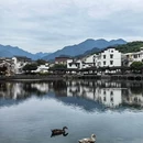 杭州市旅游 缩略图 8