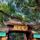 杭州市旅游 缩略图 6
